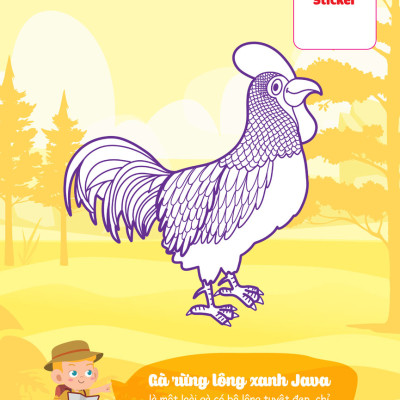 Con Tô màu - Thám Hiểm Rừng Nhiệt Đới _MEGA