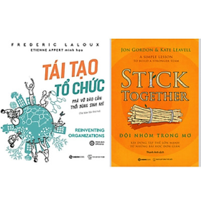 Combo 2Q Sách Kĩ Năng Làm Việc : Đội Nhóm Trong Mơ + Tái Tạo Tổ Chức - Phá Vỡ Rào Cản, Thổi Bùng Sinh Khí (Tái Bản)