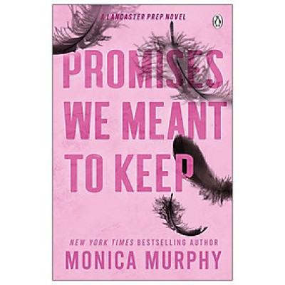 Lancaster Prep 3: Promises We Meant To Keep