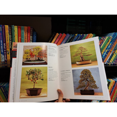 Sách - The Bonsai Handbook by Ken Norman - Sách Ngoại văn - English Book - Bìa cứng