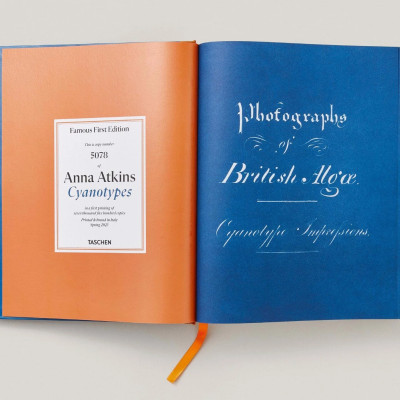 Artbook - Sách Tiếng Anh - Anna Atkins: Cyanotypes