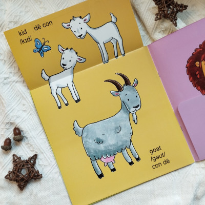 Sách lật mở khám phá - Động vật trưởng thành và con non