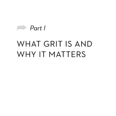 Grit : Why Passion And Resilience Are The Secrets To Success