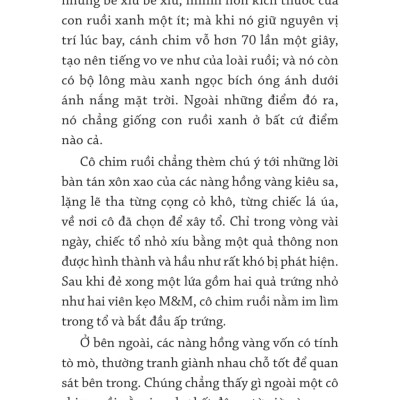 Văn Học Thiếu Nhi - Chuyện Cổ Tích Của Vườn - TRE