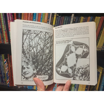 Sách - Introducing Chaos A Graphic Guide by Ziauddin Sardar - Nonfiction in English / Science - Mathematics/ Khoa học