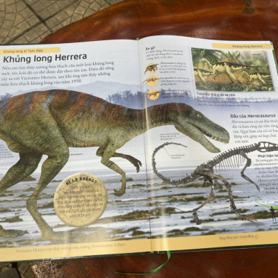 [BÁCH KHOA CHO TRẺ EM] – BÁCH KHOA KHỦNG LONG – MỞ MANG KIẾN THỨC KHƠI DẬY TIỀM NĂNG– tủ sách DK – Đông A – Bìa Cứng in màu toàn bộ