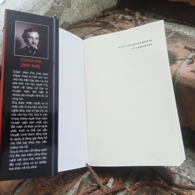 Sách - Tuyển tập truyện kinh dị của Edgar Poe" – Hòa mình vào tâm hồn tối tăm.