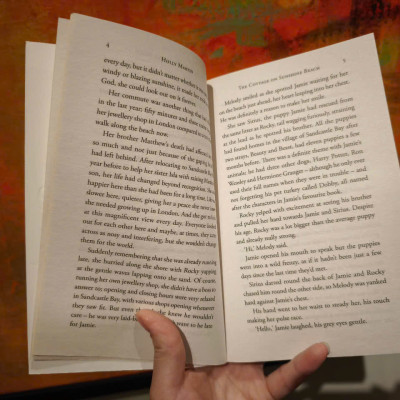 Sách - The Cottage on Sunshine Beach: An utterly gorgeous feel good romantic comedy by Holly Martin