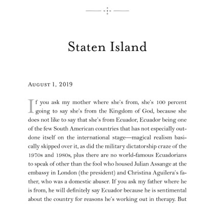 The Undocumented Americans