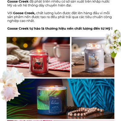 Nến ly 3 bấc Aromatherapy Goose Creek (411g) - Wild Mint & Birch