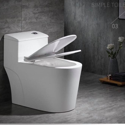 Bồn cầu 1 khối  C8020