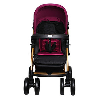 Xe Đẩy Trẻ Em 2 Chiều Baobaohao C8-112 - Tím