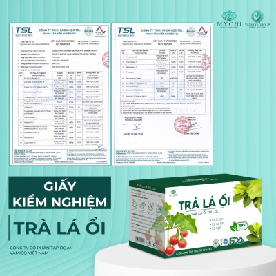 Giá Sỉ 10 Hộp Trà Lá Ổi Mychi Giam Cân Tan Mỡ Ngừa mỡ máu tiểu đường