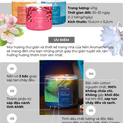 Nến ly 3 bấc Aromatherapy Goose Creek (411g) - Eucalyptus & Mint