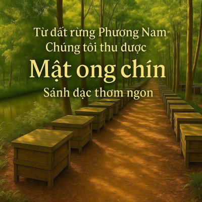 Combo Mật ong  rừng Phương Nam 100% mật ong chín Honimore 990g