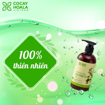 Combo 3 chai Dầu gội Hà Thủ Ô - COCAYHOALA ngăn rụng tóc, giảm bạc tóc Tặng 1 Dầu xả Gừng nuôi dưỡng và làm mềm tóc
