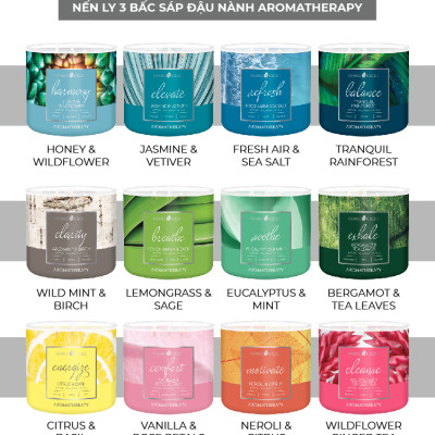 Nến ly 3 bấc Aromatherapy Goose Creek (411g) - Wild Mint & Birch