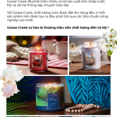 Nến ly 3 bấc sáp đậu nành Goose Creek (411g) - Minted Eucalyptus