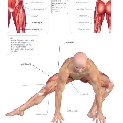 70 Bài Tập Cải Thiện Vóc Dáng Tăng Sự Dẻo Dai (Bản in màu)