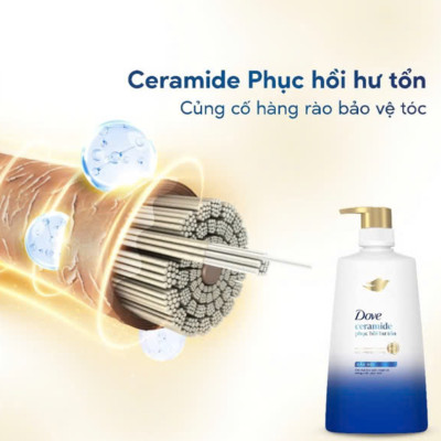 Dầu Gội Dove Hỗ Trợ Phục Hồi Tóc Hư Tổn 640g