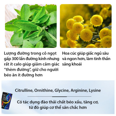 Trà đốt mỡ và kiểm soát cân nặng Night Diet Tea Orihiro Nhật Bản thải độc cơ thể, cải thiện chất lượng giấc ngủ gói 24 túi lọc JN-OR-NI01