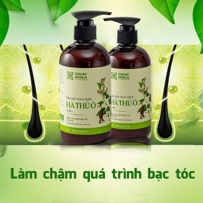 Dầu gội thảo dược HÀ THỦ Ô Chiết xuất từ 6 loại thảo dược - Cân Bằng Sắc Tố Melanin Khỏi lo bạc tóc rụng tóc Cocayhoala 300g