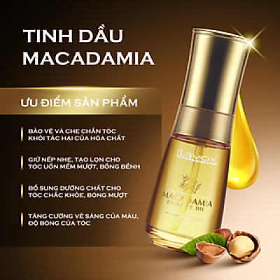 Tinh dầu Macadamia chống rối tóc Lavox 50ml