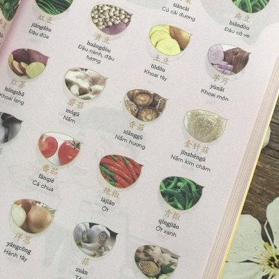 Make Your Chinese Map - Bản đồ tư duy từ vựng Tiếng Trung theo chủ đề