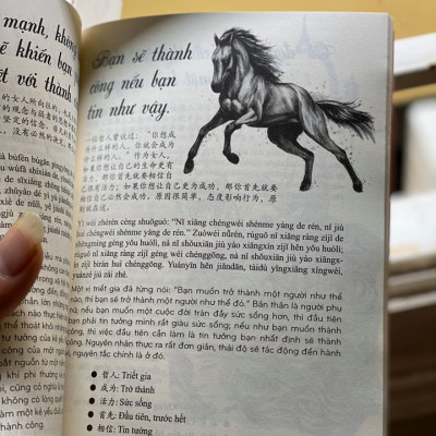 Combo 2 sách Từ điển hình ảnh Tam Ngữ Trung Anh Việt – Visual English Vietnamese Chinese Trilingual Dictionary +101 Thông Điệp Thay Đổi Cuộc Đời Phụ Nữ+DVD tài liệu