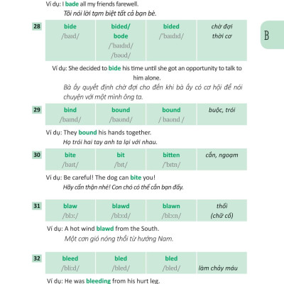 360 Động Từ Bất Quy Tắc Và 12 Thì Tiếng Anh Cơ Bản
