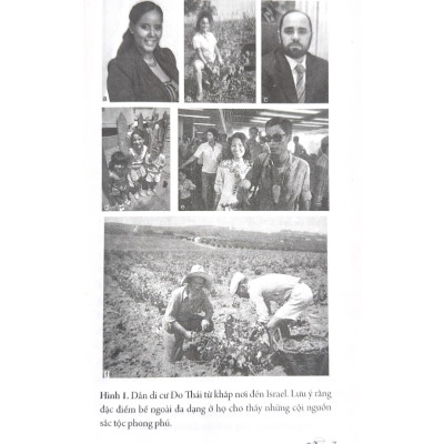 Dẫn Luận Về Do Thái Giáo - Norman Solomon - Vanlangbooks