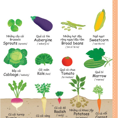 Cuốn Sách Từ Vựng Đầu Tiên Của Tôi - My First Word Book- Thức Ăn - Food