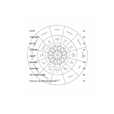 Sách - Bí Ẩn Các Chòm Sao - Hiểu Rõ Bản Thân Qua Cung Hoàng Đạo (VT)