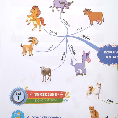 Tập Viết Tiếng Anh Cho Trẻ - Động Vật