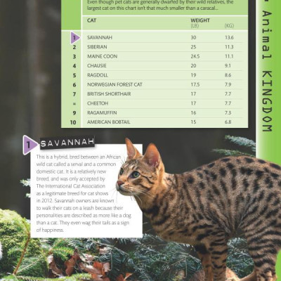 Top 10 of Everything 2018