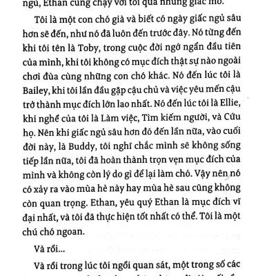 Hành Trình Của Một Chú Chó