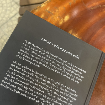 MẮT NÀO XANH NHẤT – Toni Morrison – Nobel văn chương 1993 – Thiên Nga dịch – San Hô Books