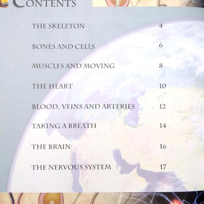 Primary Explorers: Human Body