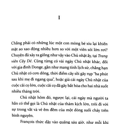 Sự Thật Về BéBé Donge