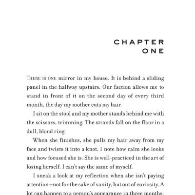 Divergent (Novel)