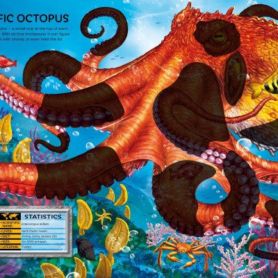 Build Your Own Sea Creatures Sticker Book