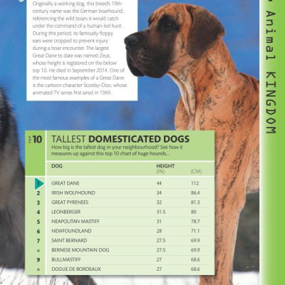 Top 10 of Everything 2018