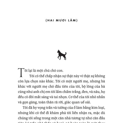 Lời Hứa Của Một Chú Chó - A Dog