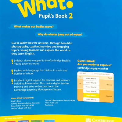 Guess What! Level 2 Pupil