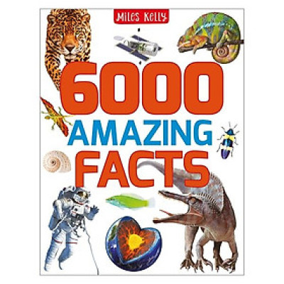 B384 6000 AMAZING FACTS