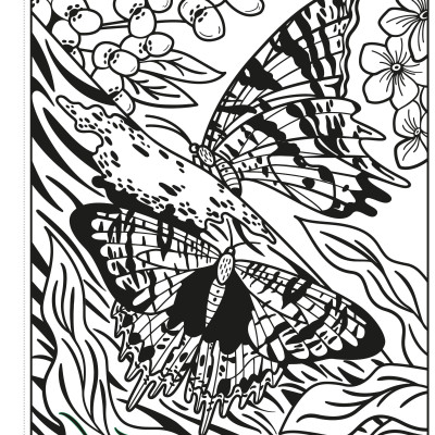 Butterflies Magic Painting Book