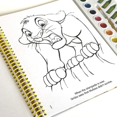 Disney Lion King Deluxe Poster Paint & Color