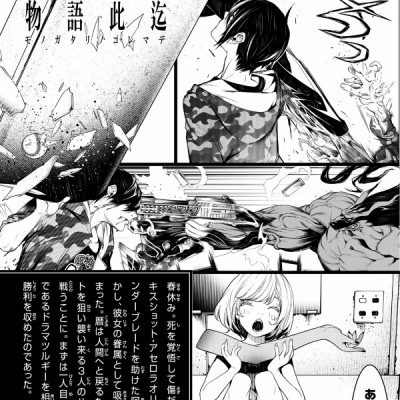 化物語 11 - Bakemonogatari Vol.11