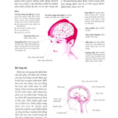 Bên Con Khi Con Đau Bệnh
