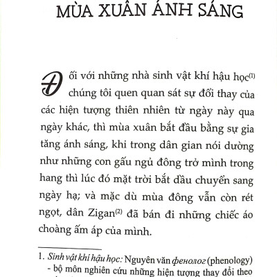 Giọt Rừng